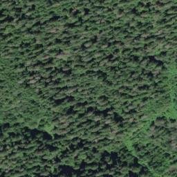 Satellite imagery of Quinault Ridge, US