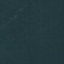 Satellite imagery of Prospect Point, US