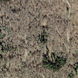 Satellite imagery of Borne n° 333, CH
