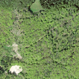 Satellite imagery of Schnäpfenflueli, CH