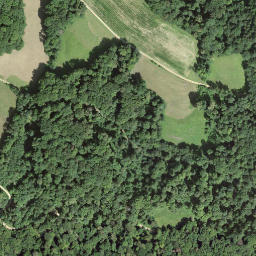 Satellite imagery of Müsenegg, CH