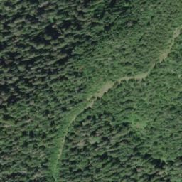Satellite imagery of Quinault Ridge, US