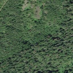Satellite imagery of Quinault Ridge, US
