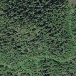Satellite imagery of Quinault Ridge, US