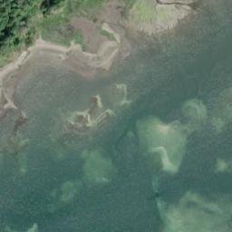 Satellite imagery of Plum Point, US