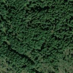 Satellite imagery of TAYLOR — NGS SX1394 — King County, US, US