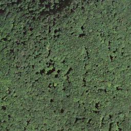 Satellite imagery of Hombergegg, CH