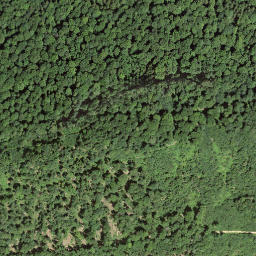 Satellite imagery of Gisliflue, CH