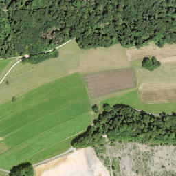 Satellite imagery of Müsenegg, CH