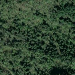 Satellite imagery of WALSH — NGS SX1403 — King County, US, US