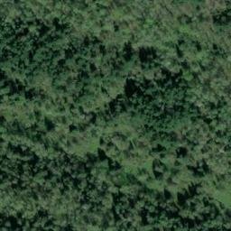 Satellite imagery of WALSH — NGS SX1403 — King County, US, US