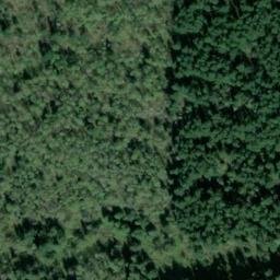 Satellite imagery of WALSH — NGS SX1403 — King County, US, US
