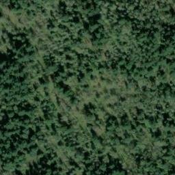 Satellite imagery of TAYLOR — NGS SX1394 — King County, US, US