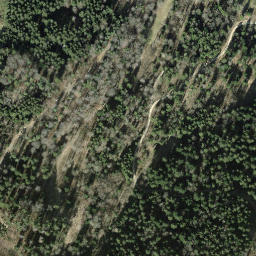 Satellite imagery of Hintereggen, CH