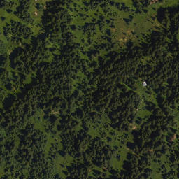 Satellite imagery of Hörnlein, DE
