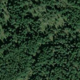 Satellite imagery of TAYLOR — NGS SX1394 — King County, US, US