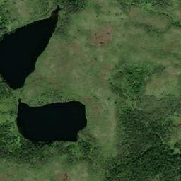 Satellite imagery of Puffing Pig, CA