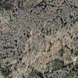 Satellite imagery of n° 33, CH