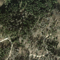 Satellite imagery of Hintereggen, CH