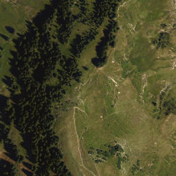 Satellite imagery of Piesenkopf, DE
