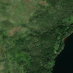 Satellite imagery of Puffing Pig, CA