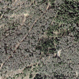 Satellite imagery of Borne frontière 31, CH