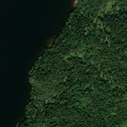Satellite imagery of Puffing Pig, CA