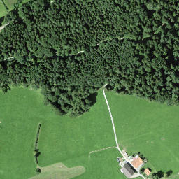 Satellite imagery of Bernegg, CH