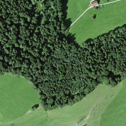 Satellite imagery of Bernegg, CH