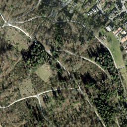Satellite imagery of Käferberg, CH