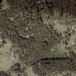 Satellite imagery of Rennfeld, AT
