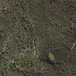 Satellite imagery of Weberkogel, AT