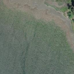 Satellite imagery of Point Victor, US