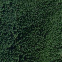 Satellite imagery of SNOOSE — NGS SX1314 — King County, US, US