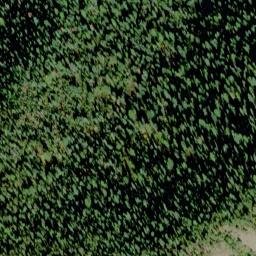 Satellite imagery of Dam Ridge, US