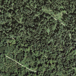 Satellite imagery of 1879, CH