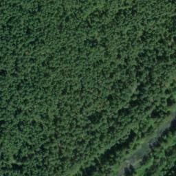 Satellite imagery of F 67 — NGS SX0798 — King County, US, US