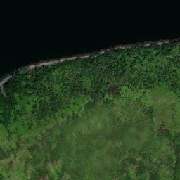 Satellite imagery of Tom Walsh Lookout, CA