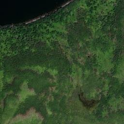 Satellite imagery of Tom Walsh Lookout, CA