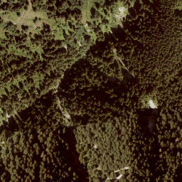 Satellite imagery of Turmkogel, AT