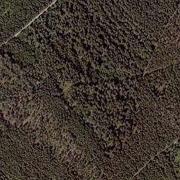 Satellite imagery of Wildwiesen, AT