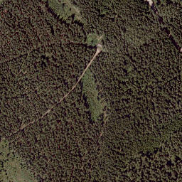 Satellite imagery of Wildwiesen, AT