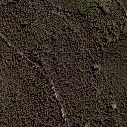Satellite imagery of Wildwiesen, AT