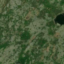 Satellite imagery of Whales Trunk, CA