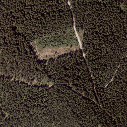 Satellite imagery of Wildwiesen, AT