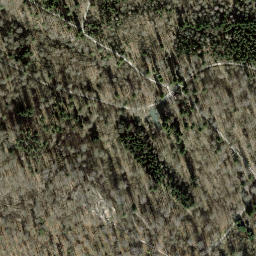 Satellite imagery of Zürichberg, CH