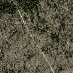 Satellite imagery of Zürichberg, CH