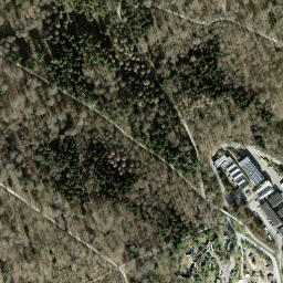 Satellite imagery of Zürichberg, CH