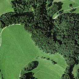 Satellite imagery of Hamberg, CH