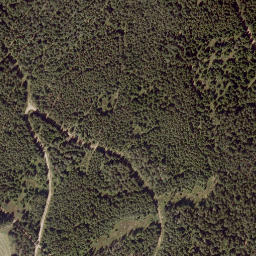 Satellite imagery of Wildwiesen, AT